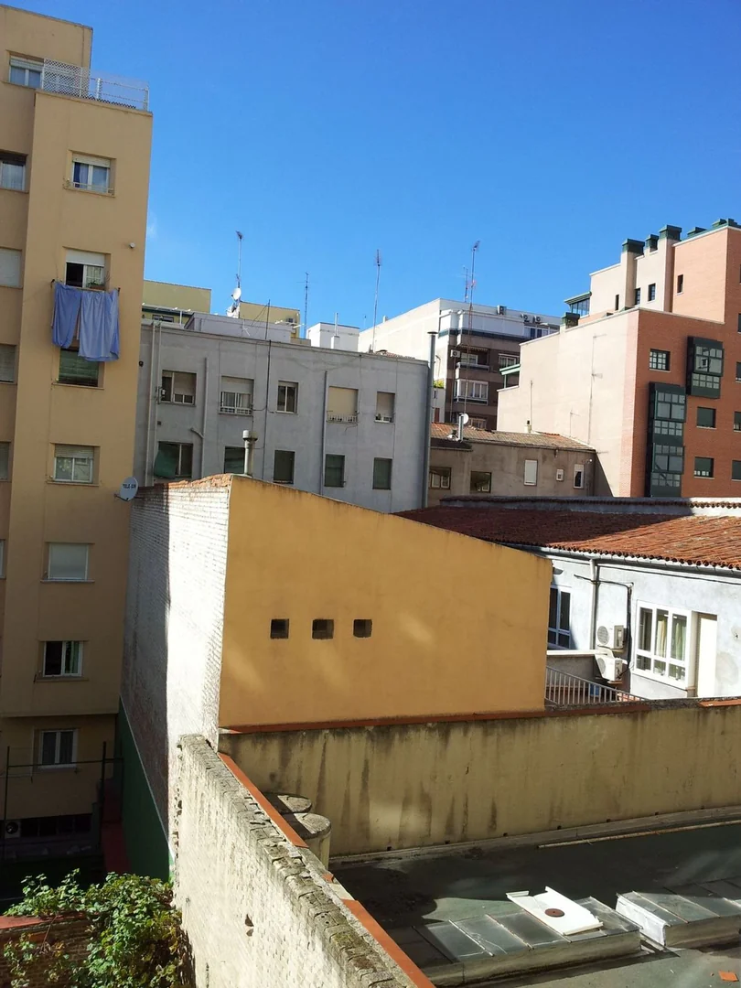 Piso en Calle de Guzmán el Bueno, 93, Gaztambide - Foto 31