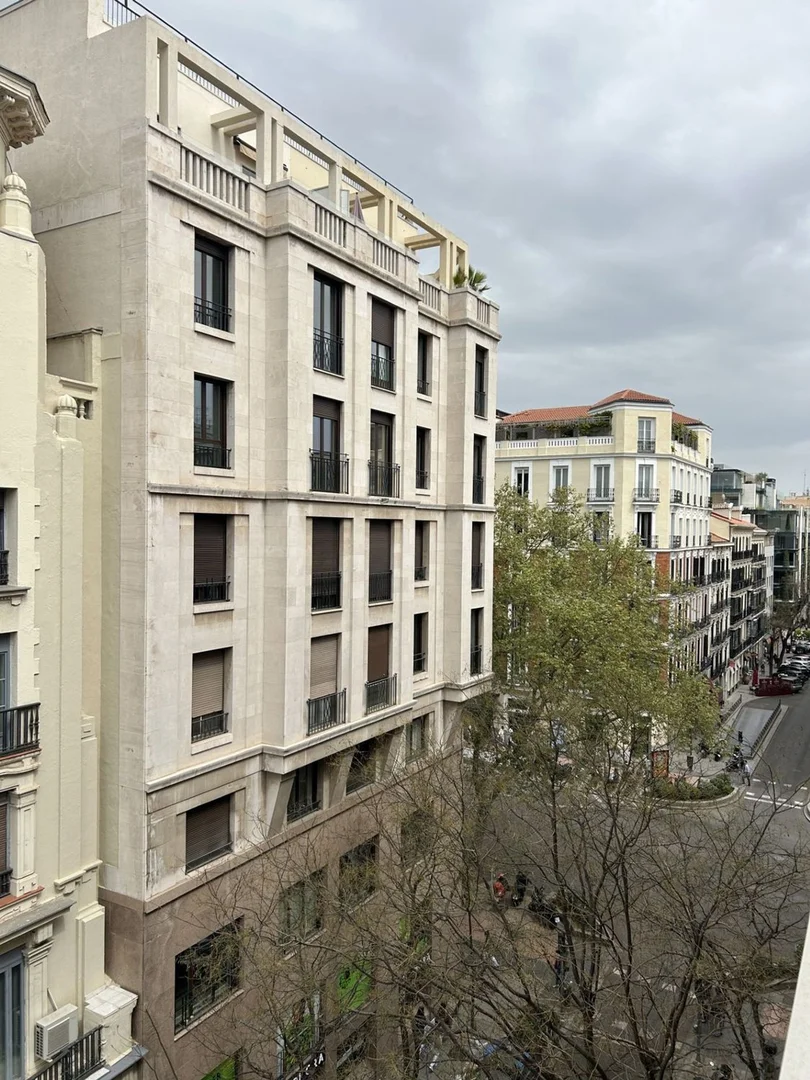 Alquiler de estudio en Calle de Hermosilla, 28 - Foto 22