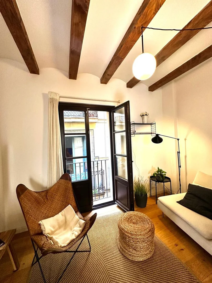Piso en Calle dels Còdols, 3, El Gòtic - Foto 12