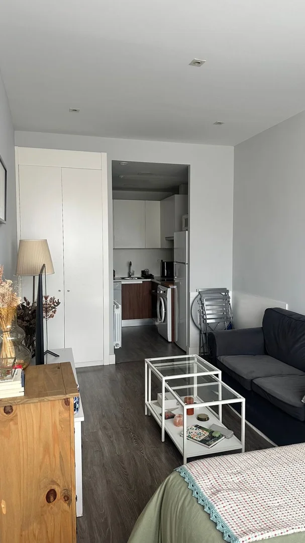 Estudio en calle del Marqués de Lema, 7 - Foto 2