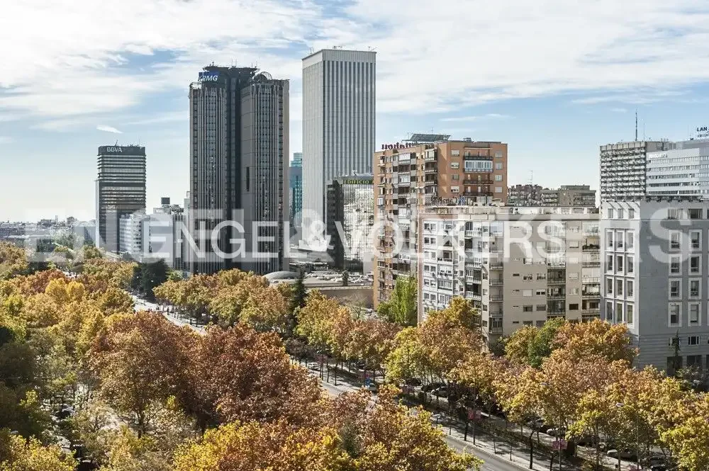 Piso en  Avenida de Alberto Alcocer - Foto 24