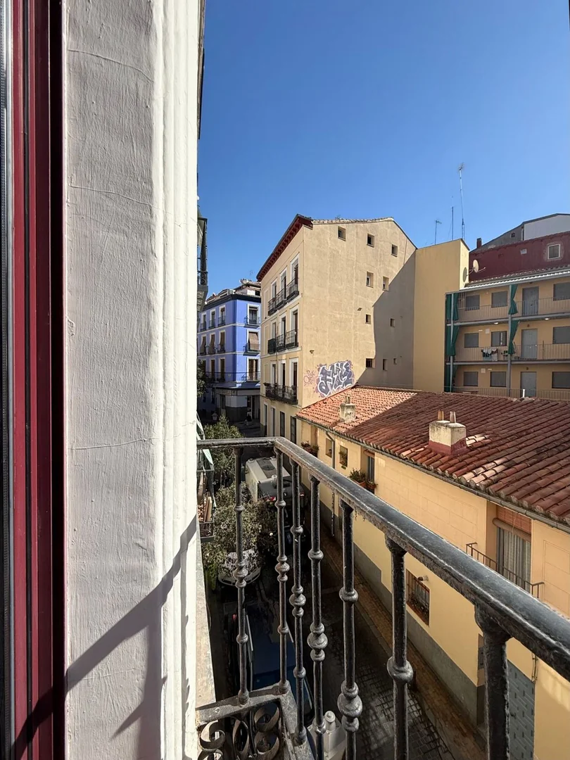 Piso en Calle de Santa Lucía, 5, Malasaña-Universidad - Foto 8