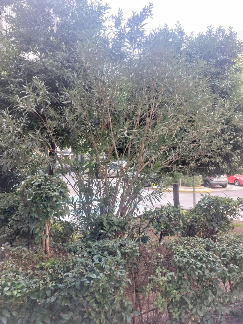 Piso en Barrio Virgen del Cortijo - Manoteras - Foto 26