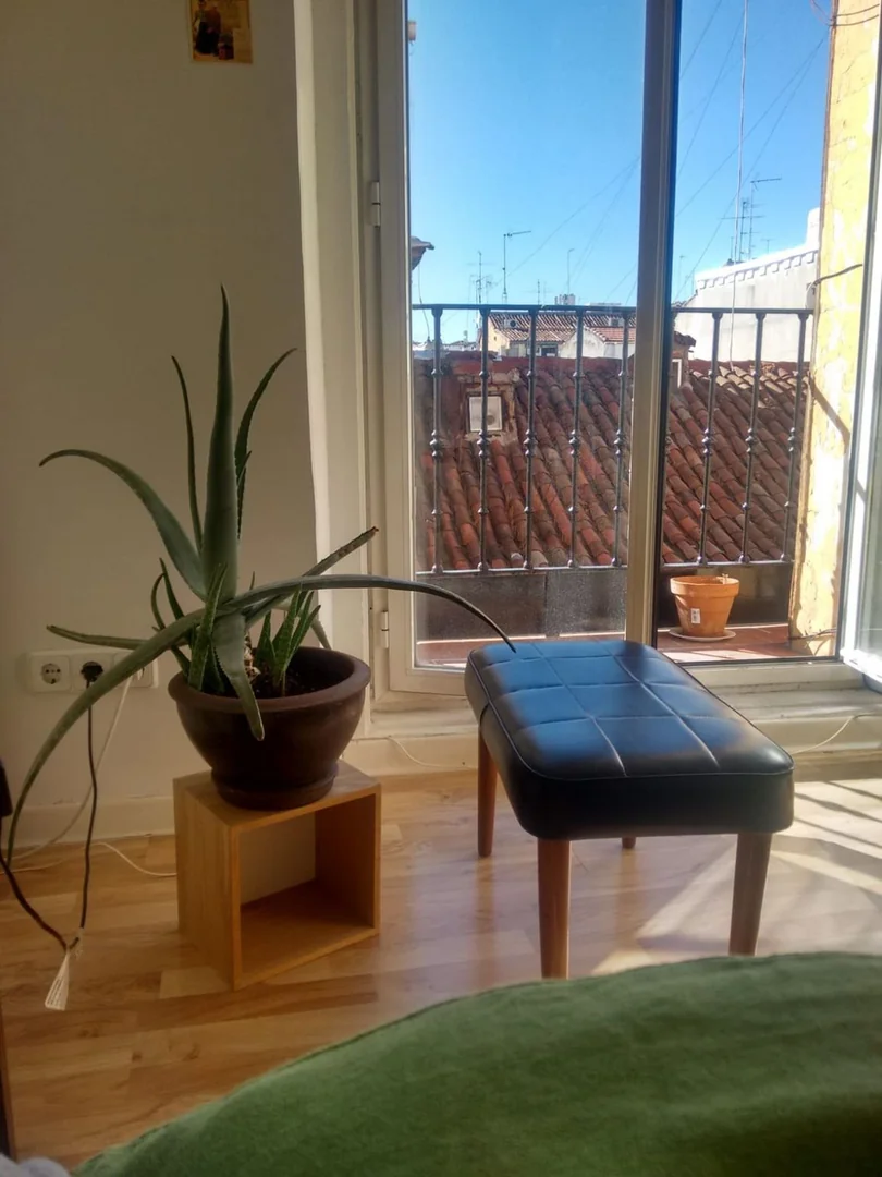 Piso en Calle Salitre, 27, Lavapiés-Embajadores - Foto 3