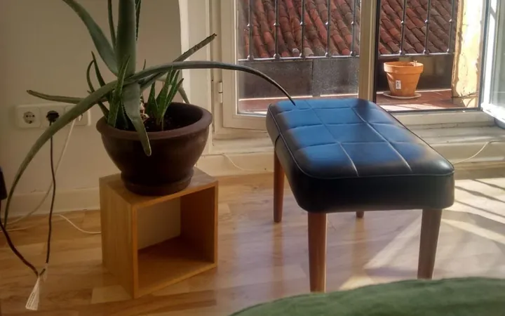 Piso en Calle Salitre, 27, Lavapiés-Embajadores - Foto 3