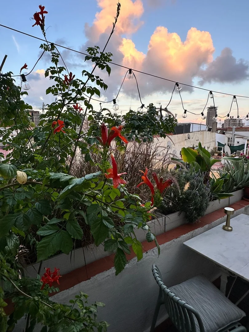 Ático en calle de les Carretes, 44 - Foto 16