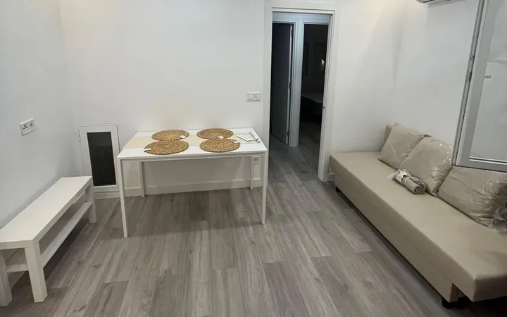 Piso en Calle de Tomás Borrás, 10, Chopera - Foto 1