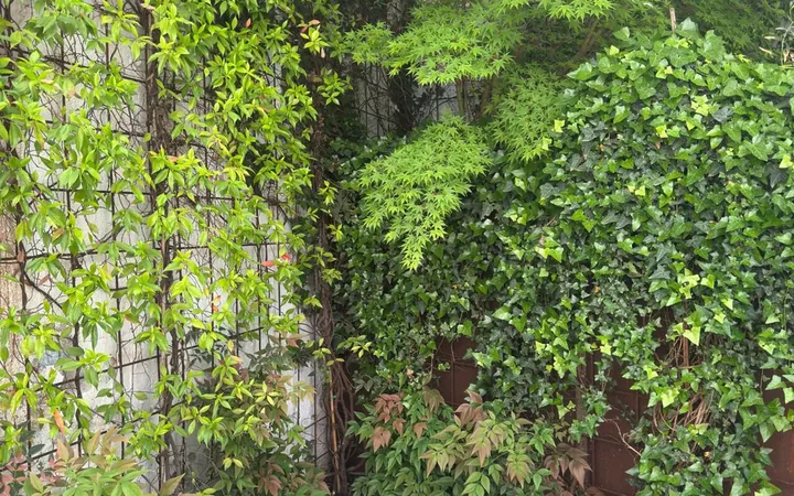 Piso en Pasaje de Doña Carlota, 14 - Foto 6