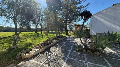 Casa o chalet independiente en Pago Copina s/n - Foto 8