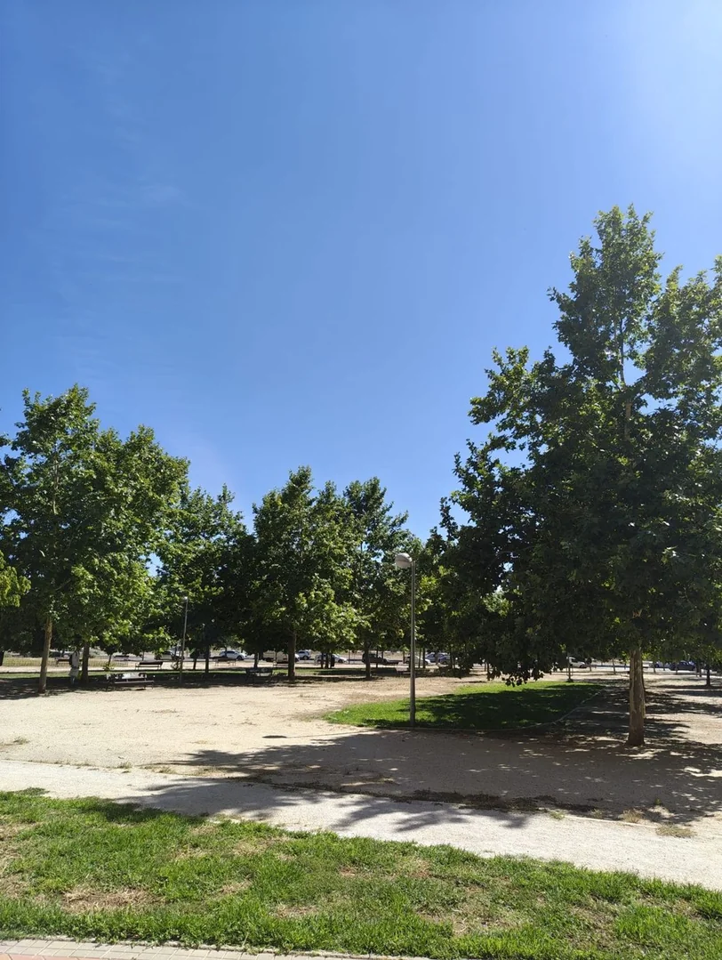 Estudio en Avenida del Ensanche de Vallecas, 110, Ensanche de Vallecas - La Gavia - Foto 19