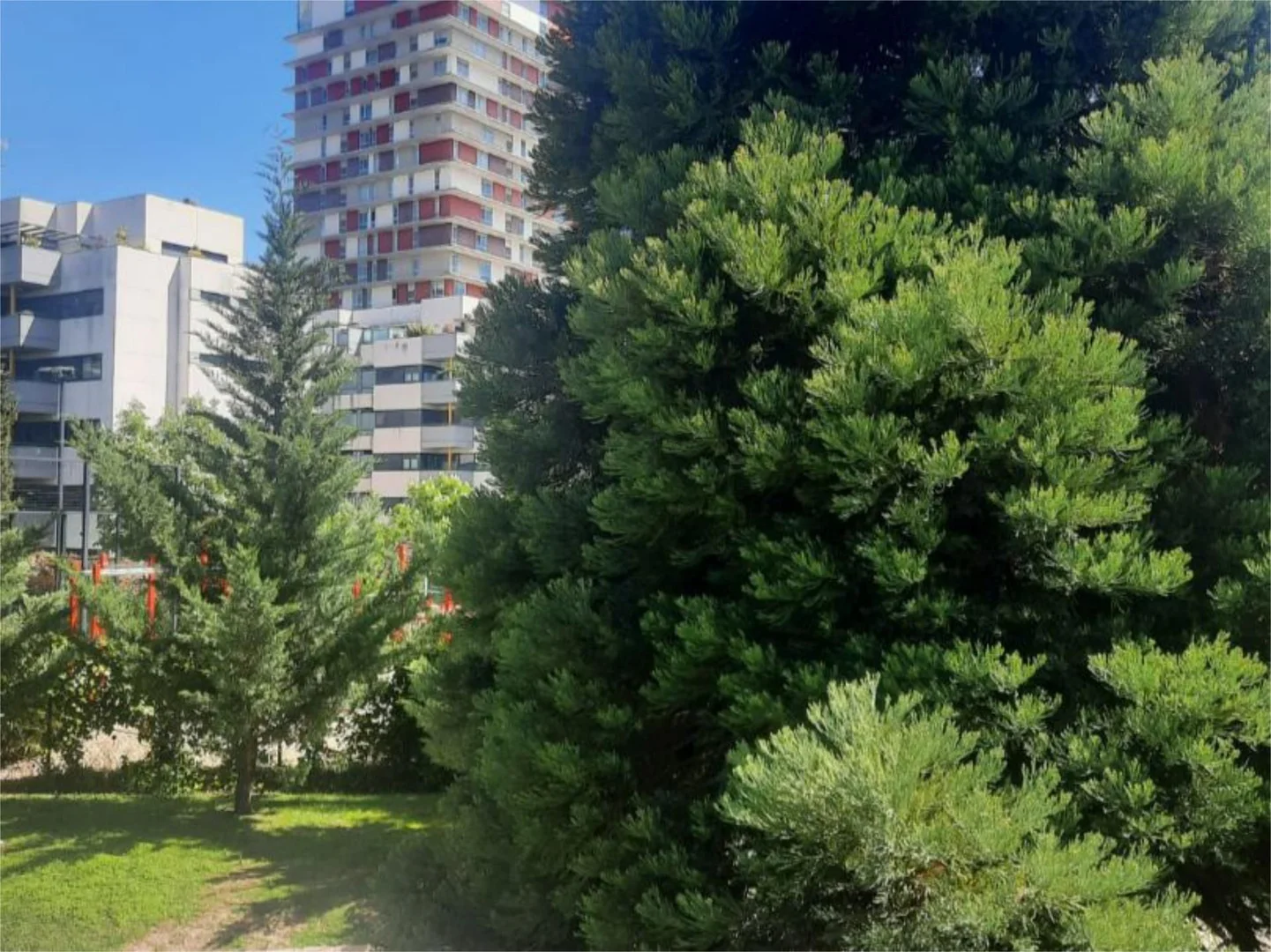 Piso en  Calle de Dulce Chacón 33 - Foto 45