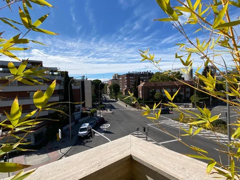 Piso en paseo de la Habana, 176 - Foto 8