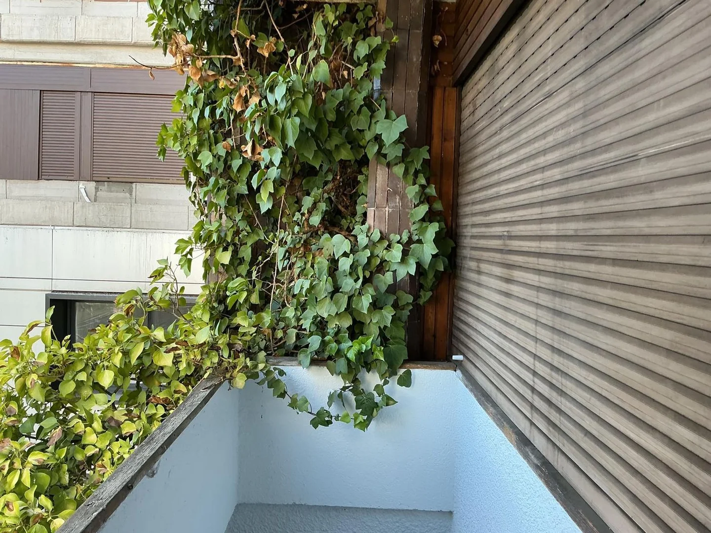 Piso en Calle de Costa Rica, 9 -11, Nueva España - Foto 7