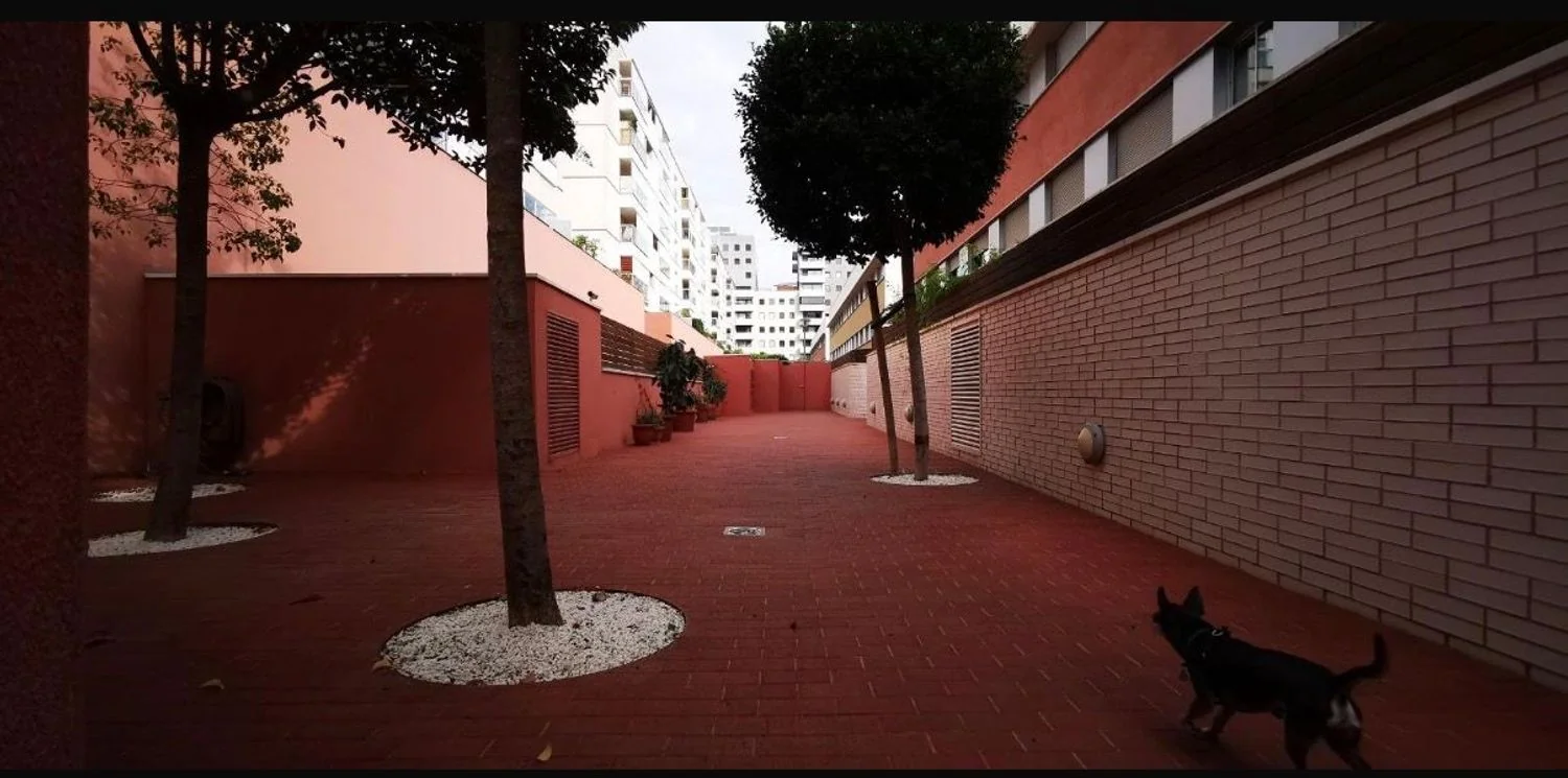 Piso en Calle de Jane Addams, 5, La Marina del Port - Foto 15