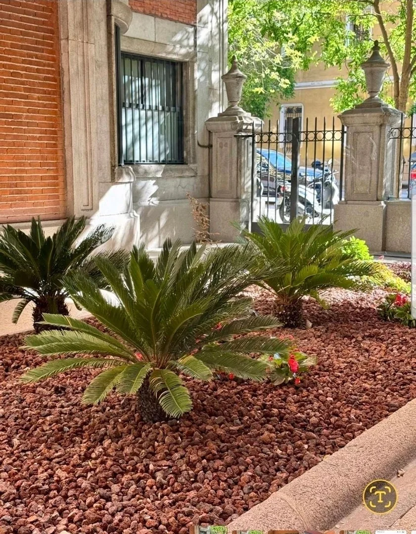 Piso en Trafalgar, Trafalgar - Foto 18