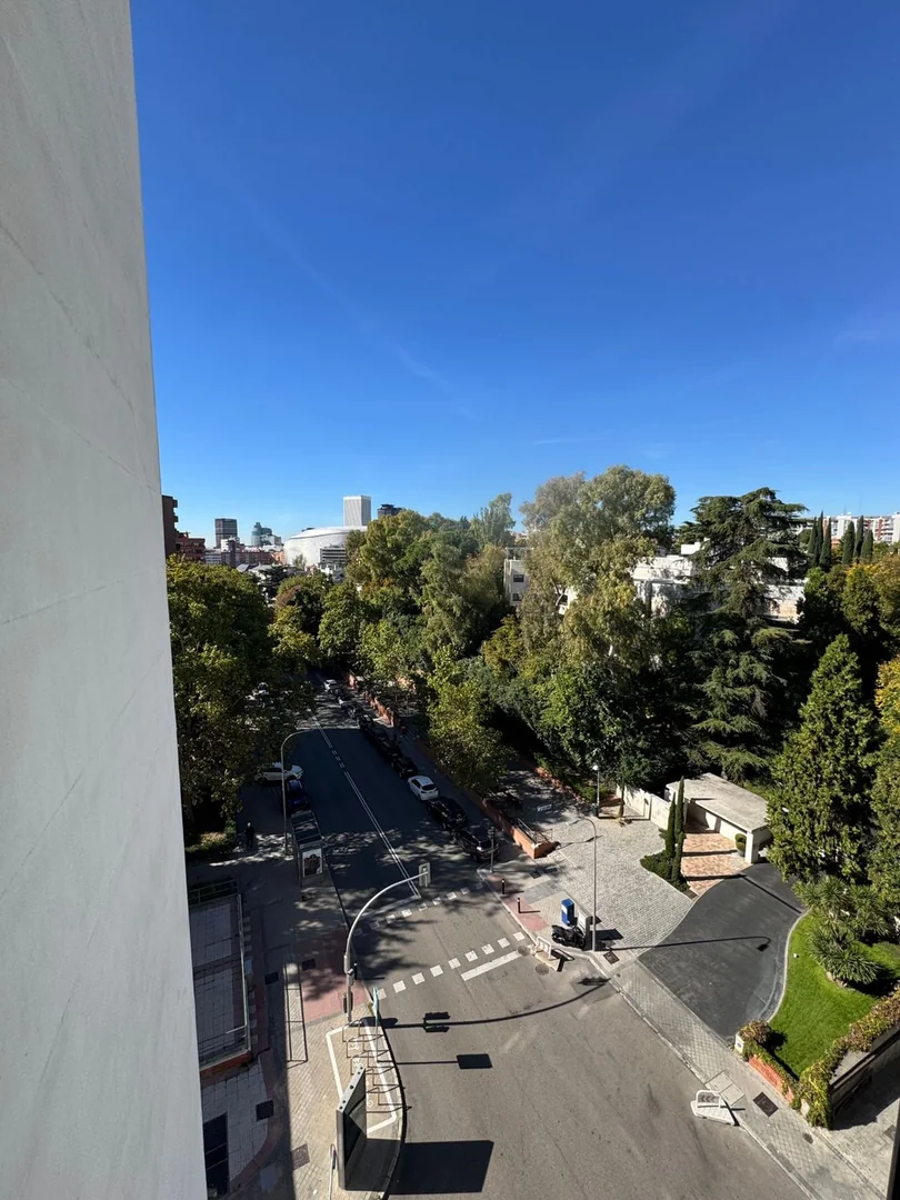 Piso en Paseo de La Habana, 80, Bernabéu-Hispanoamérica - Foto 35