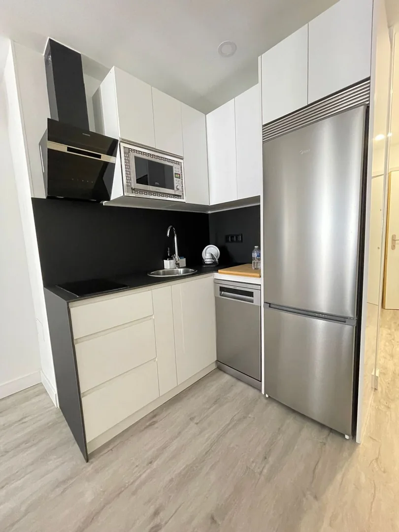 Estudio en Calle de Mauricio Legendre, 16, Castilla - Foto 7