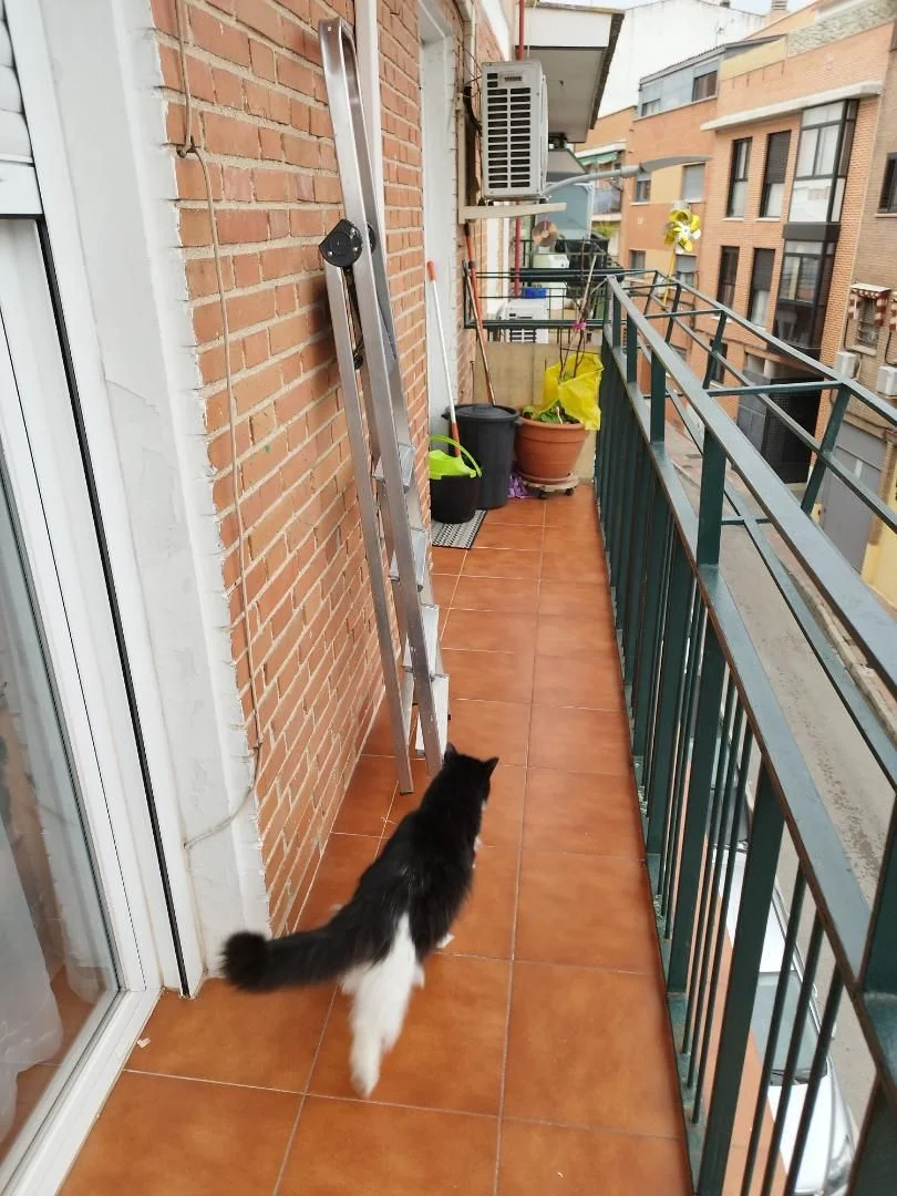 Piso en  Calle de Antonia Calvo 11 - Foto 26