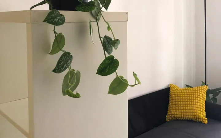 Estudio en Calle de la Cera, 22, El Raval - Foto 11