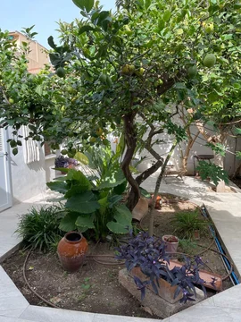 Chalet adosado en Calle de Llucmajor, 27 - Foto 4