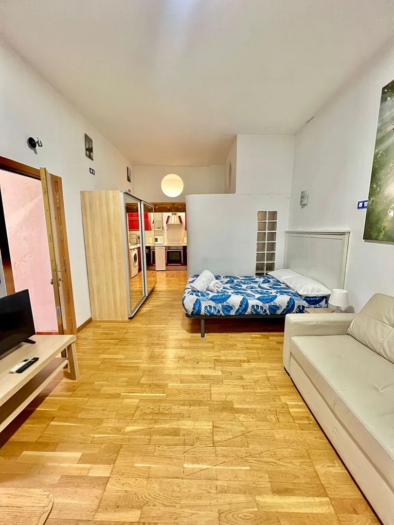 Estudio en Calle del Limón, 16, Malasaña-Universidad - Foto 8