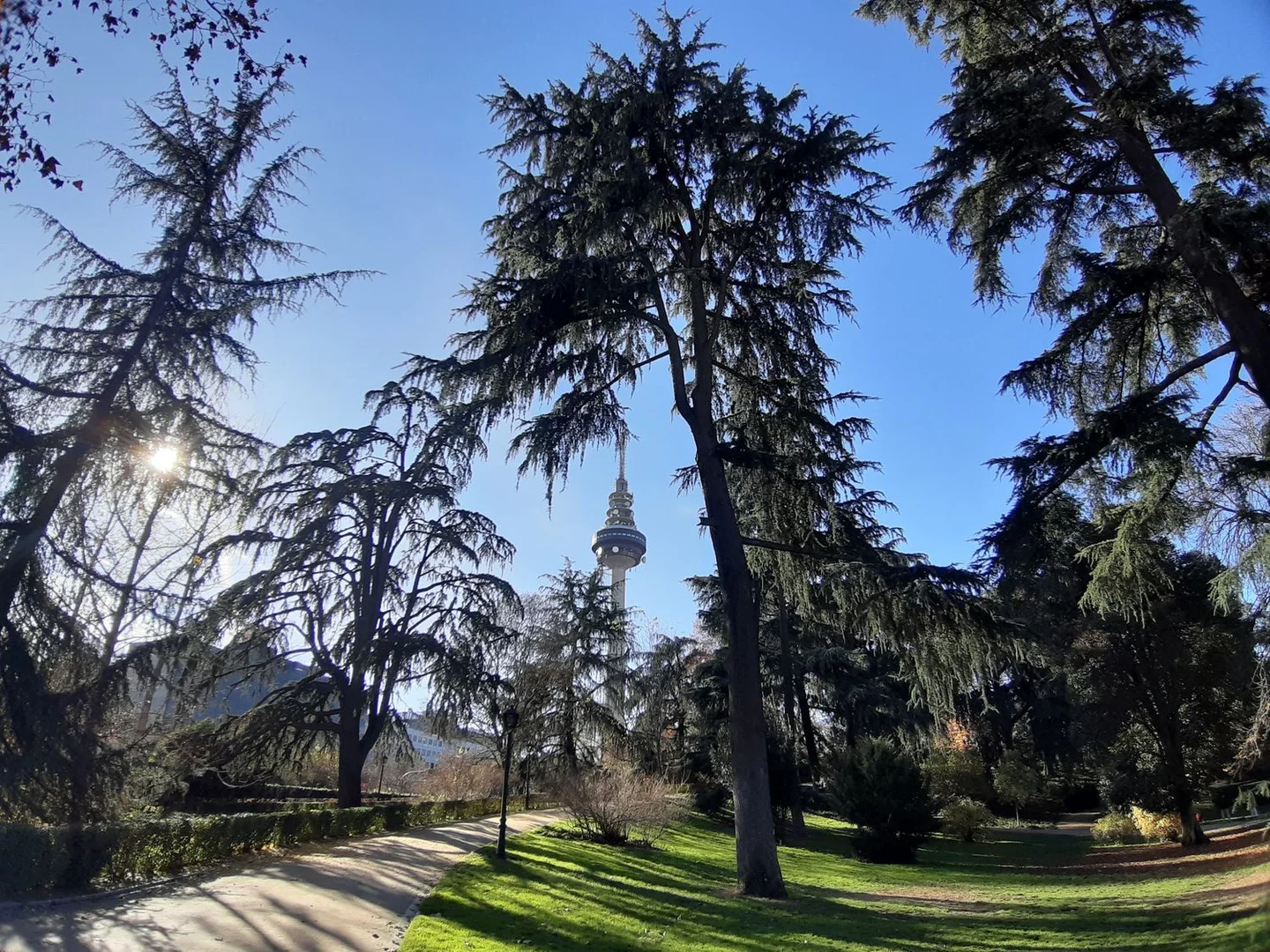 Estudio en M-30, 1 - Foto 21