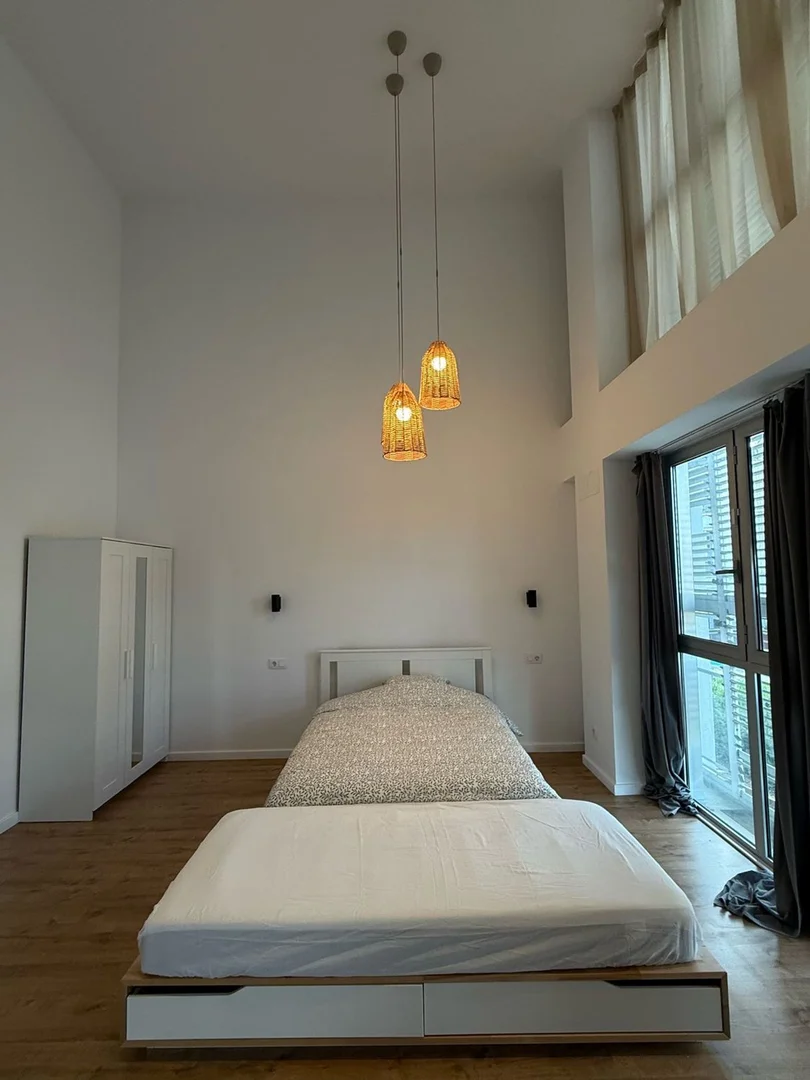 Estudio en plaza de Joan Pelegrí, 1