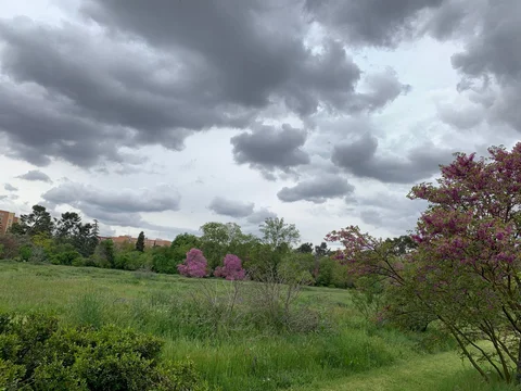 Ático en calle Alcalá, 421 - Foto 19