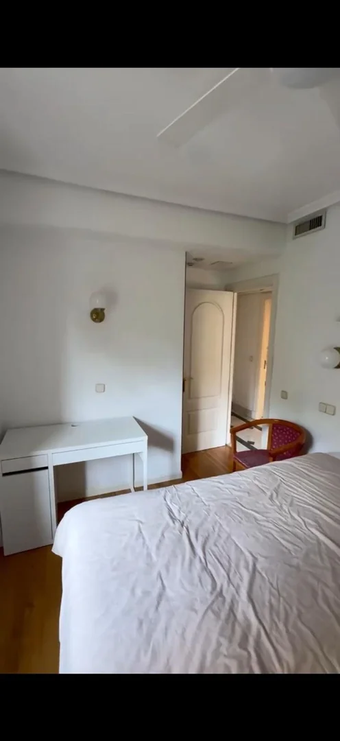 Piso en Calle de Francisco Silvela, 88, Prosperidad - Foto 8