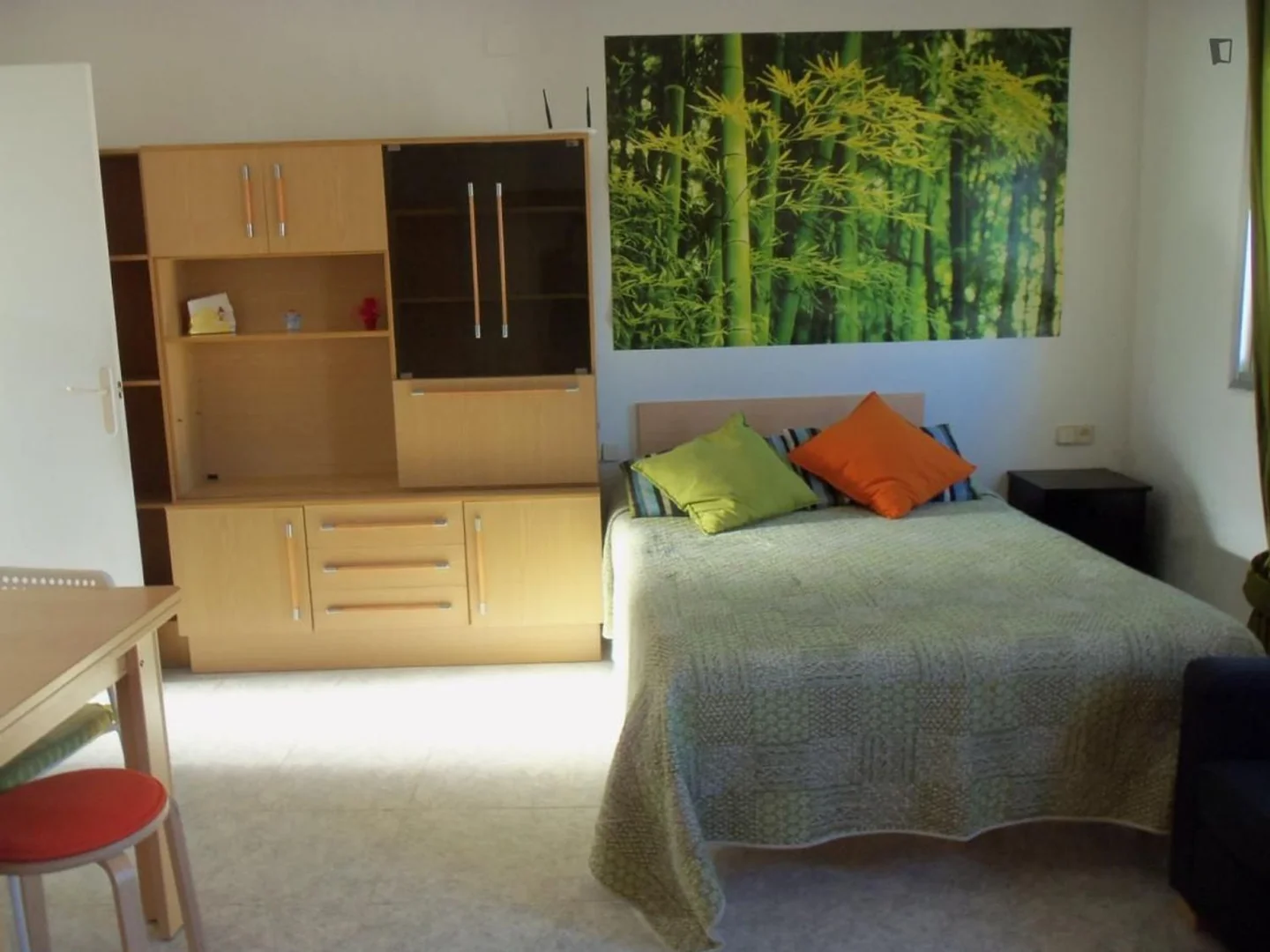 Estudio en Calle d'Estruc, El Gòtic - Foto 3