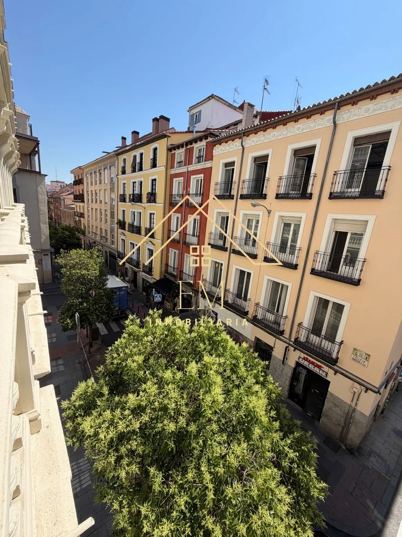 Estudio en Calle de Hortaleza, Chueca-Justicia - Foto 30