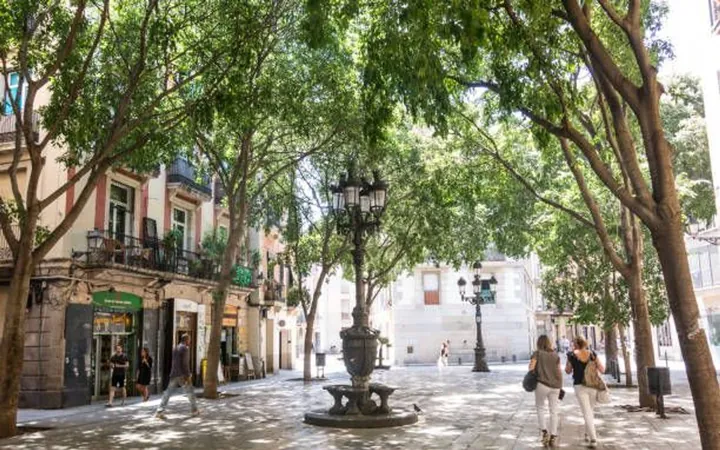 Piso en Paseo de Joan de Borbó, La Barceloneta - Foto 17