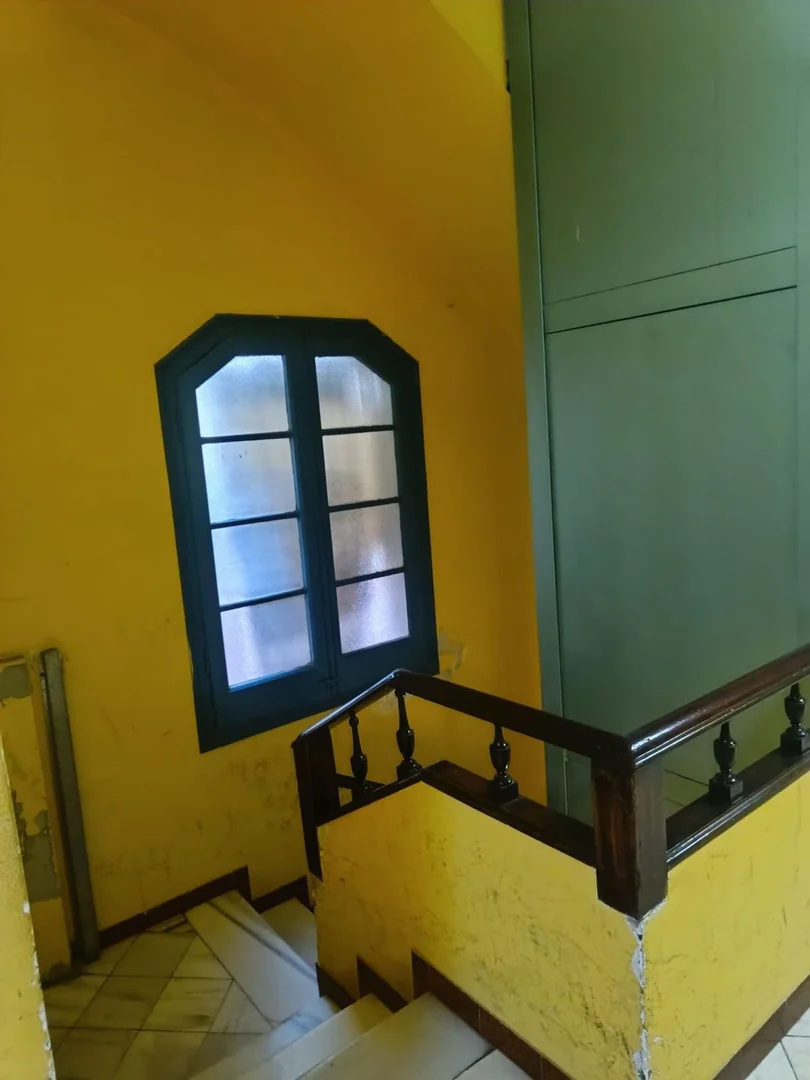 Piso en Calle Nou de Sant Francesc, 9, El Gòtic - Foto 10