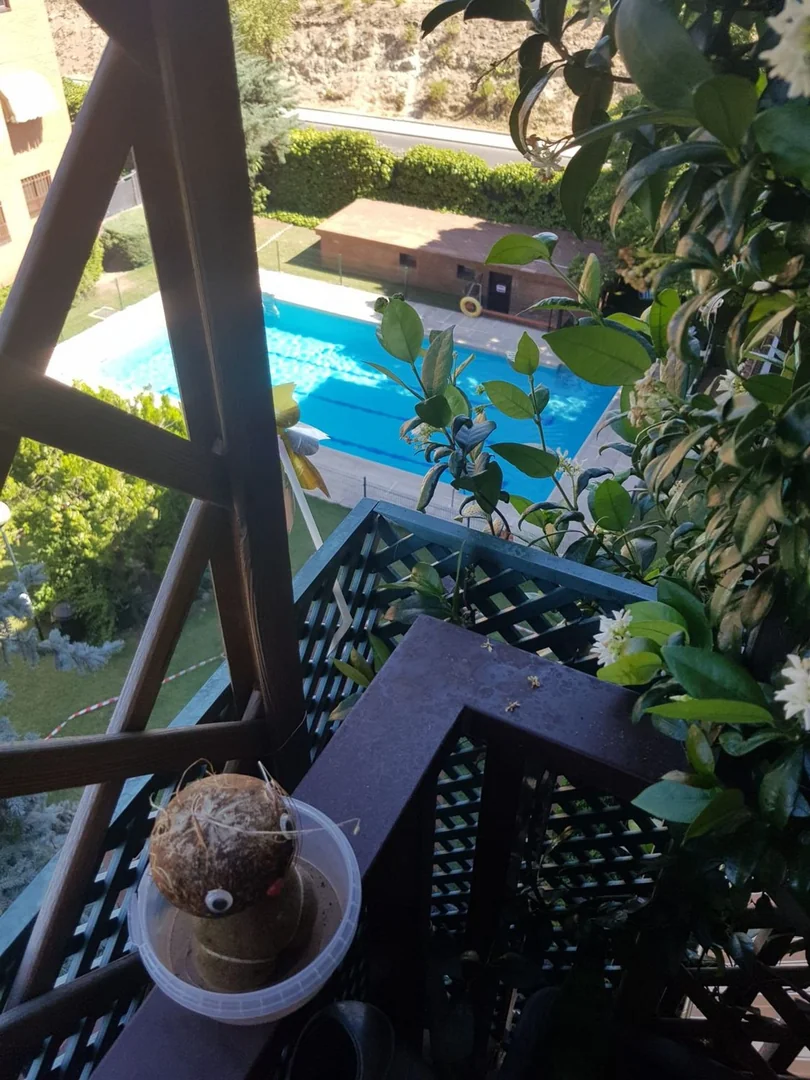 Piso en Paseo Zurrón, 16, Timón - Foto 13