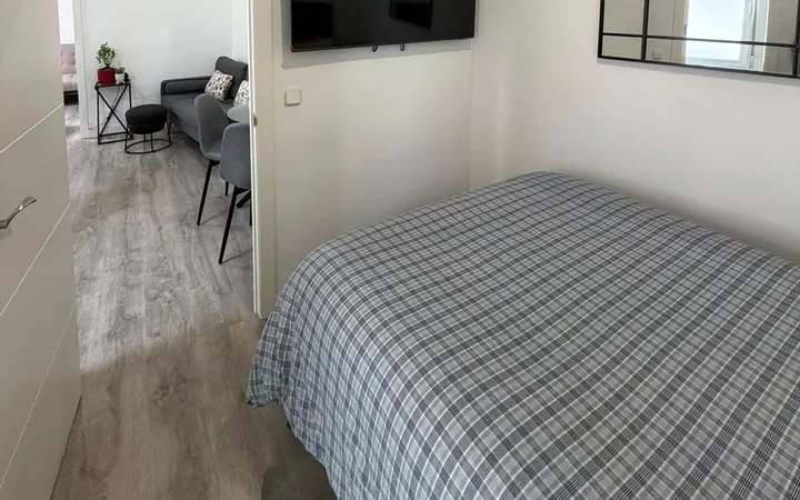 Piso en Calle del Salitre, 41, Lavapiés-Embajadores - Foto 3