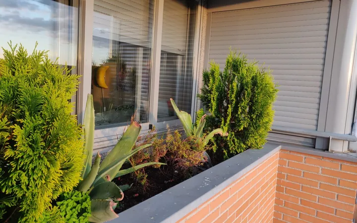 Ático en Calle Pasifae, 5, Rejas - Foto 35