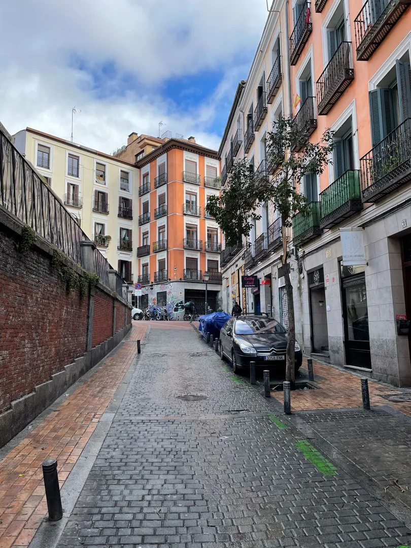 Piso en Calle Marqués de Santa Ana, 41, Malasaña-Universidad - Foto 35