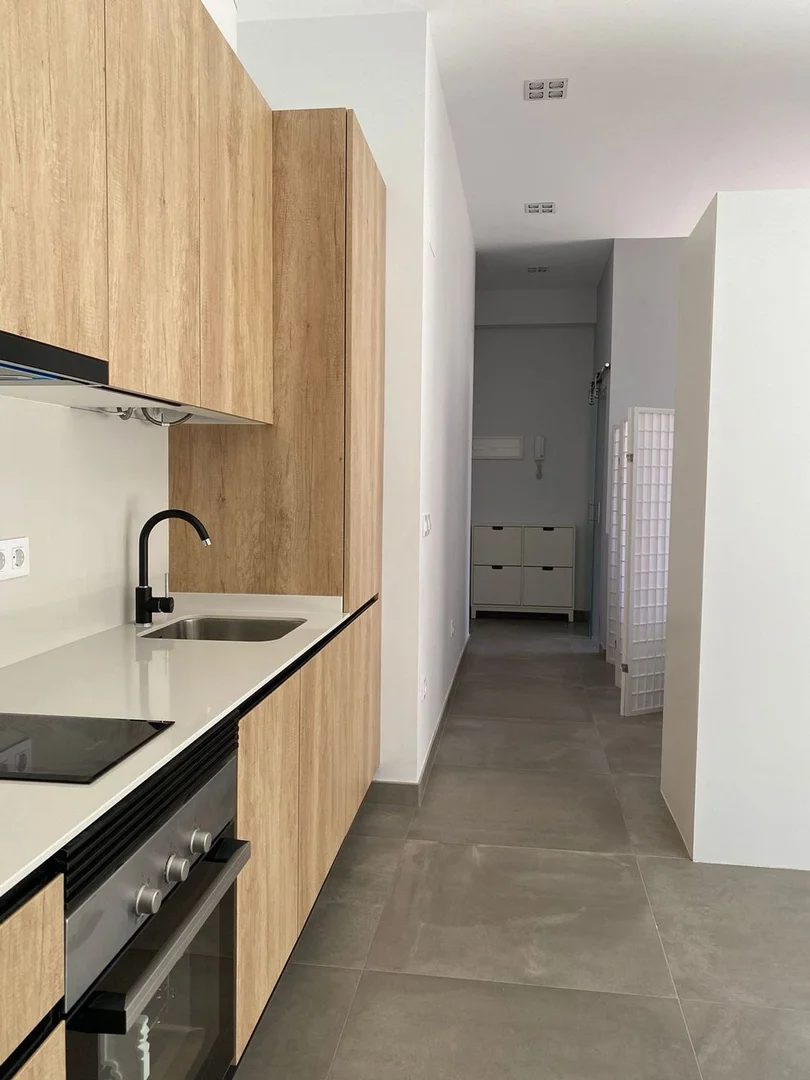 Estudio en avenida de Alberto de Alcocer, 22 - Foto 16