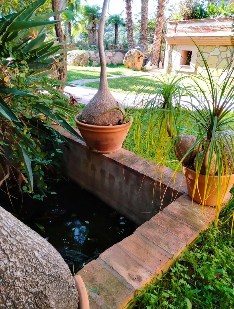 Finca rústica en camino Nicola, 240 - Foto 10