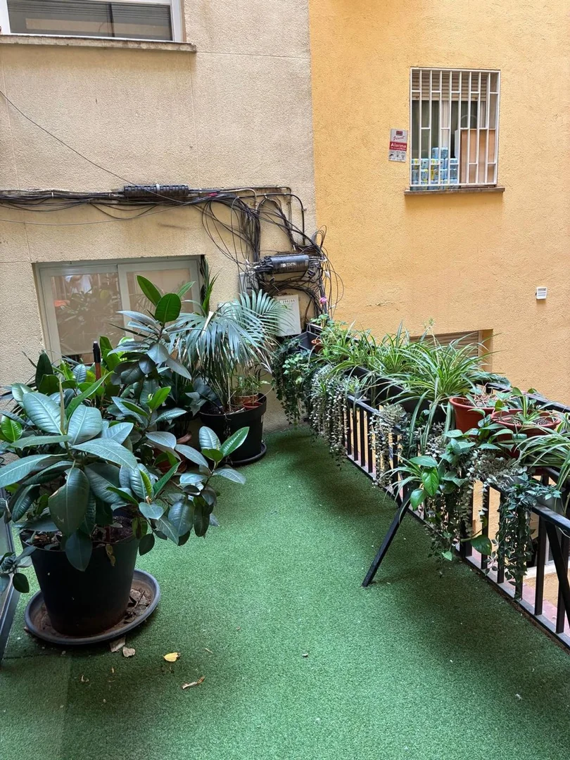 Piso en Calle de Colombia, 4 - Foto 17