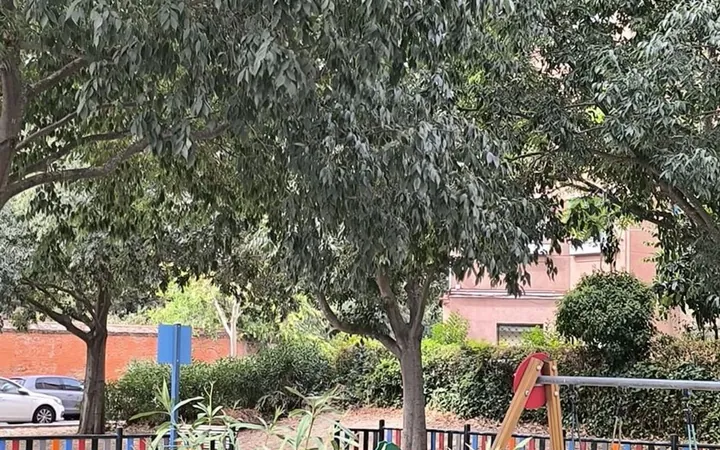 Piso en Canillejas, Canillejas - Foto 12