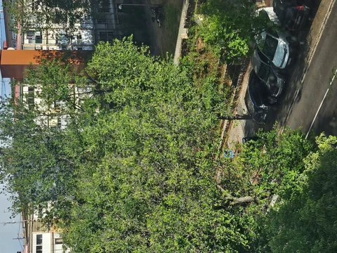 Piso en Tres Olivos - Valverde - Foto 1