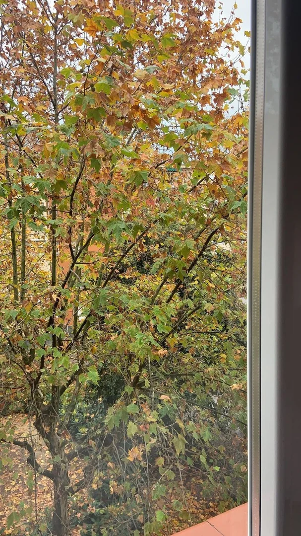 Piso en plaza de Burdeos, 2 - Foto 6