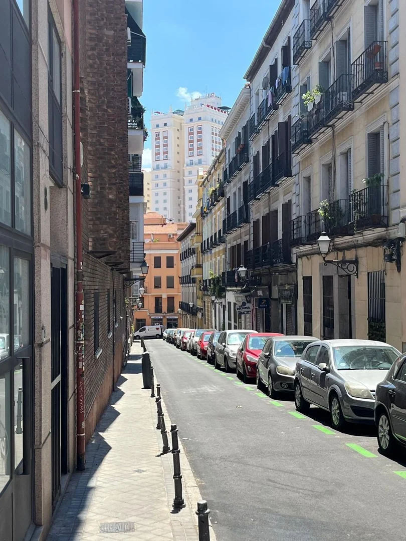 Piso en Calle de Bernardo López García, 9, Malasaña-Universidad - Foto 2