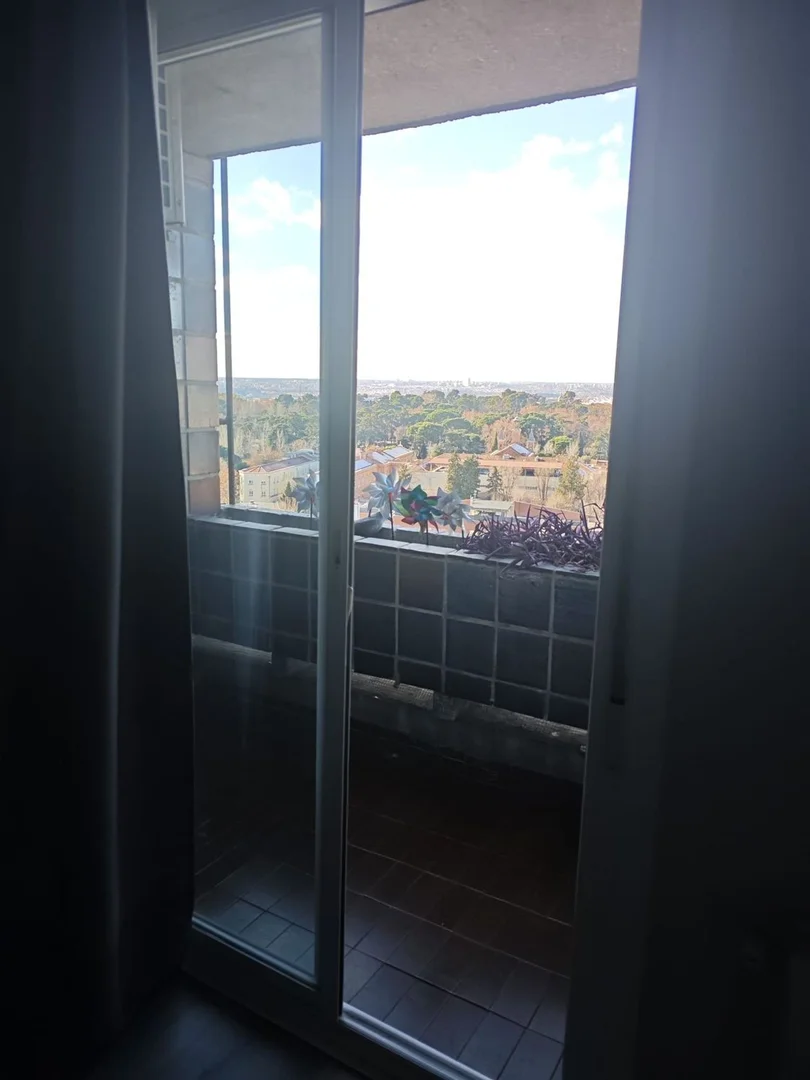 Piso en plaza del Doctor Laguna, 12 - Foto 20