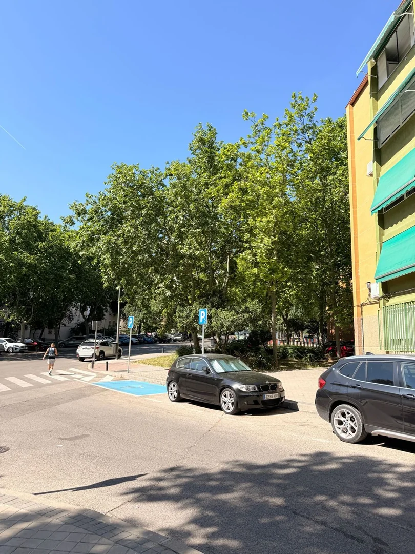 Piso en Arcos - Foto 21