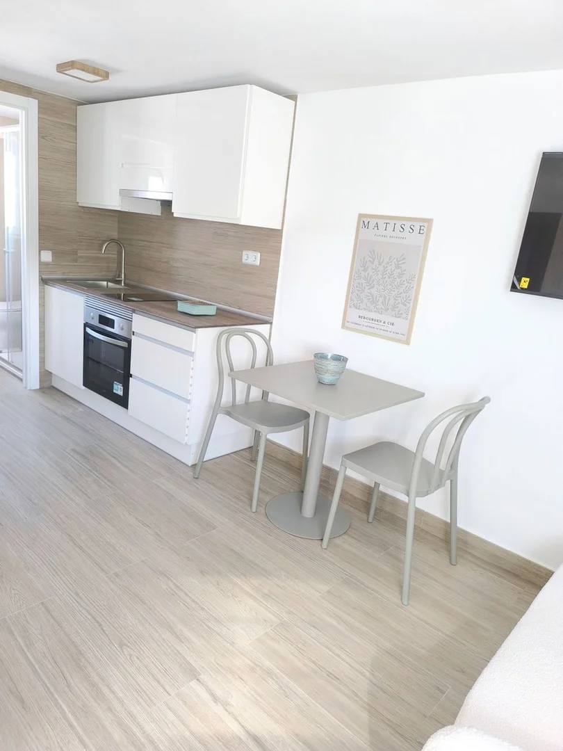 Estudio en calle Carlos Paíno, 15 - Foto 1