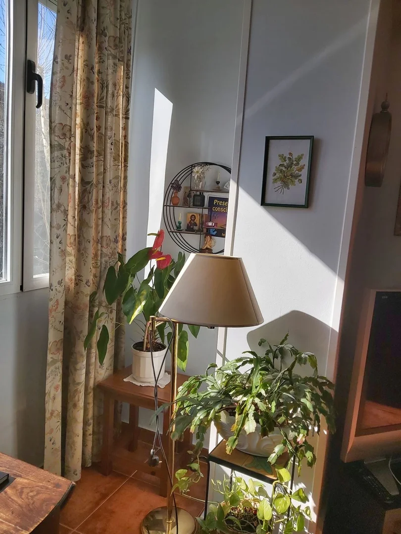 Piso en calle de Rafael Salazar Alonso, 7 - Foto 14