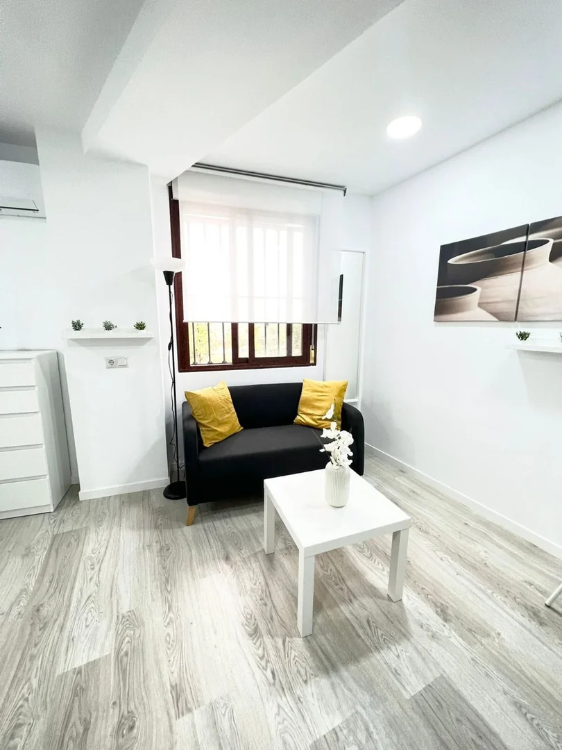 Estudio en Calle de Manuel Villarta - Foto 3