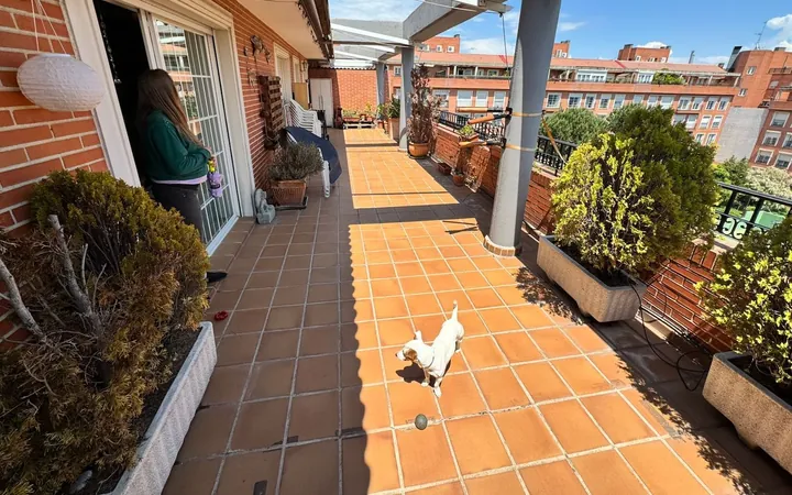 Ático en Calle de Canarias, 76, Palos de la Frontera - Foto 10